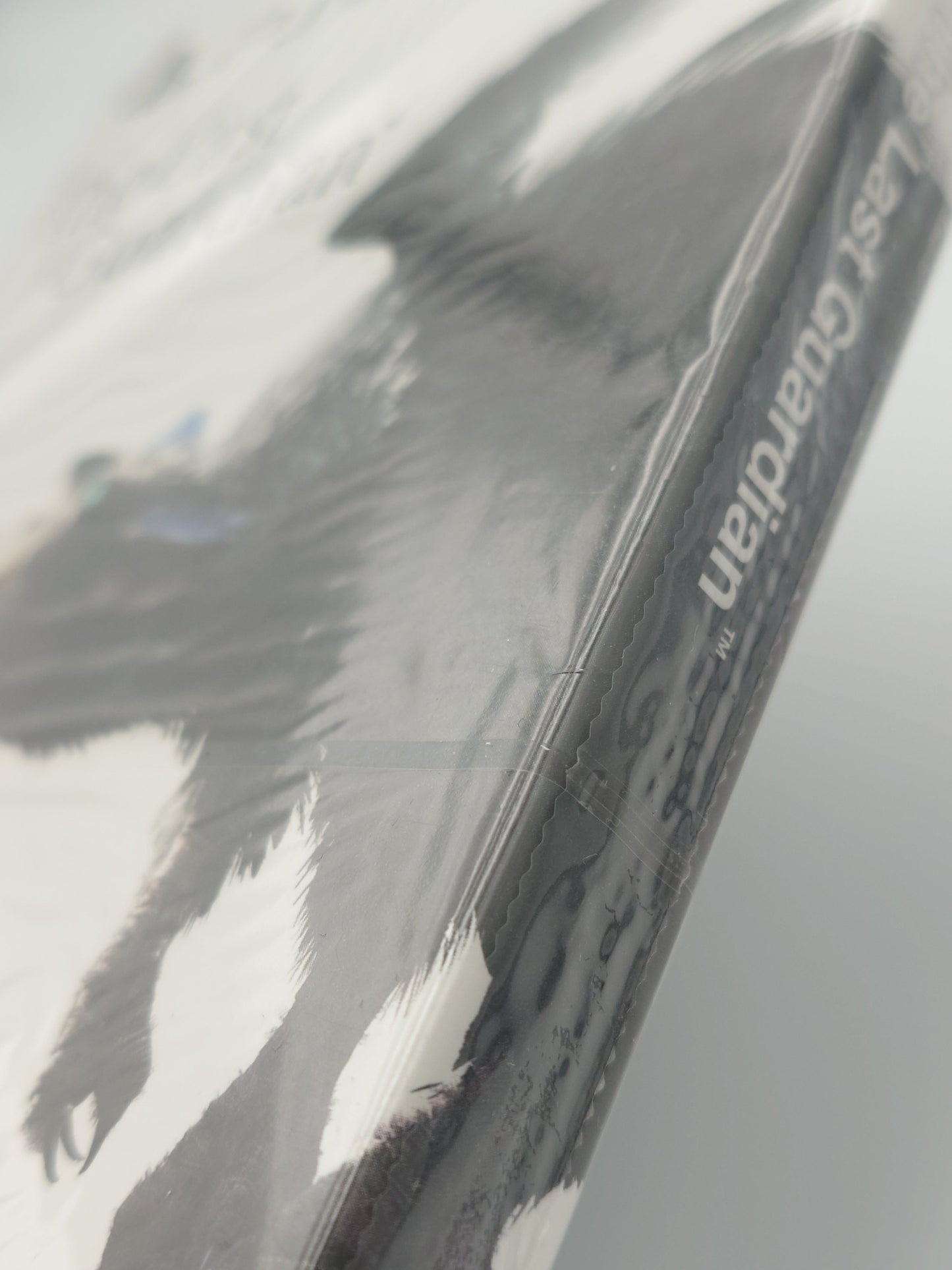 The Last Guardian – Limited Edition Steelbook (PS4, UK PAL) – Factory Sealed